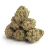 Colle Gorilla n° 4