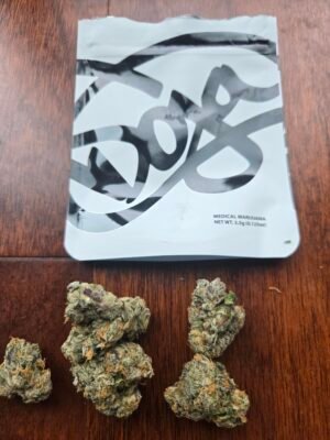 Doja Exclusive | Mochi