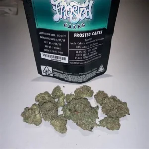 Frosted Cakes Jungle Boys