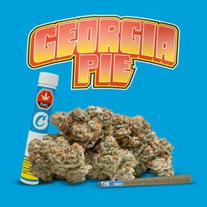 Georgia Pie Cookies