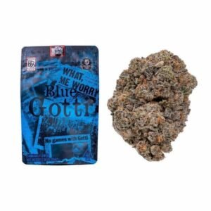 Gotti Backpackboyz