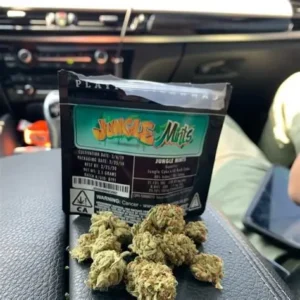 Jungle Mints Jungle Boys