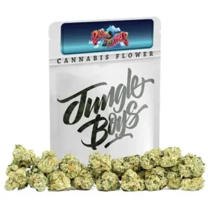 Perfect Triangle Jungle Boys