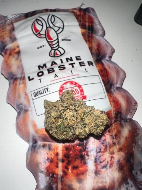 The TEN Co Maine Lobster Tail