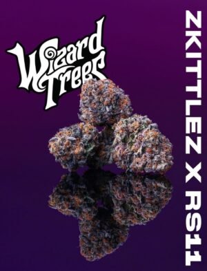 Wizard Trees 11:11